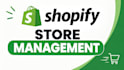 do expert shopify store