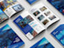 design a corporate company profile