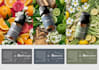 design aesthetic bottle label for wellness products