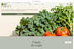 design a professional wix website and wix e commerce