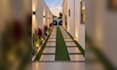 landscape design with plants, paths, and patio layouts