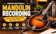 record high quality mandolin accompaniment