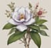 hand paint botanical illustrations