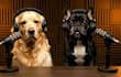 create ai talking dog videos with realistic lip sync