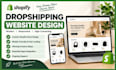 build shopify dropshipping website store design redesign shopify store expert