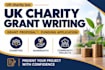 prepare UK charity registration and cic conversion documents