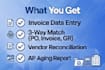 do accounts payable and invoice processing in sap or excel