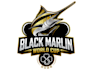 do incredible wonderful marlin fish logo