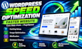 do wordpress speed optimization for google pagespeed insights
