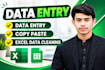do data entry, copy paste, and excel data cleaning