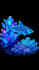 create 3d hologram animation, dome projection and immersive projection mapping