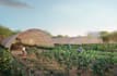 create rural farm landscape design, permaculture layout, community garden render