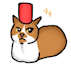 draw a cute picture of your pet