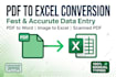 50 pages pdf to excel word, copy paste and web research in 24h