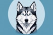 design cute pet illustrations