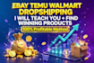 teach you ebay amazon temu walmart dropshipping