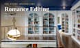 developmental edit and line edit your romance novel