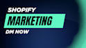 build a  shopify website