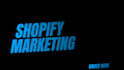 build a shopify website