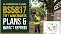 prepare bs5837 tree constraints plans and impact reports