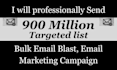 be your mailchimp expert and manager