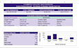 build custom excel and google sheets dashboard