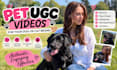 create engaging pet ugc videos for your dog or cat brand