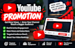 do USA youtube promotion