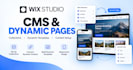 set up wix studio cms and dynamic pages