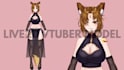 design and rig a custom live2d vtuber model