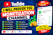 provide you monetization youtube channel