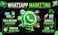 do bulk whatsapp message, blast sms campaign for you