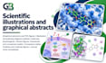 design scientific illustrations and graphical abstracts