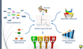 do a strategic analysis of your company