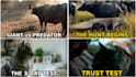 design professional youtube thumbnails with bold text and contrast