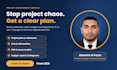 do project management, project planning and business consulting