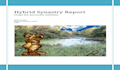 create a personalized relationship compatibility report