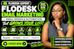 be your flodesk email marketing expert