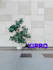 design zoom and teams virtual background with your company logo