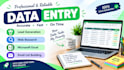 do data entry and web reserch