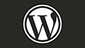 design a professional blog wordpress website