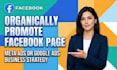 organically promote facebook page with meta ads