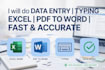 do web research data entry excel work and typing work