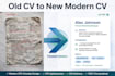 make a professional CV design and resume writing