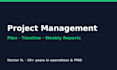 manage your project plan, timeline and weekly status reports