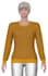 do professional  shima seiki flat knitting programming