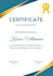design design awards certificates