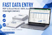 do fast data entry typing, pdf to exel overnight