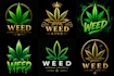 design a modern botanical leaf logo for your brand