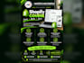 design professional posters in canva